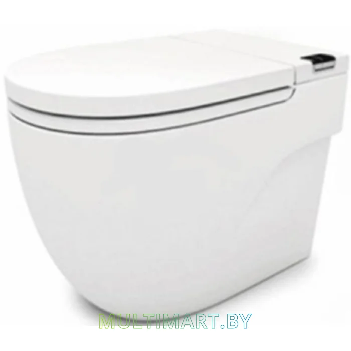 Унитаз Roca In-Tank N-Merdian 893303000